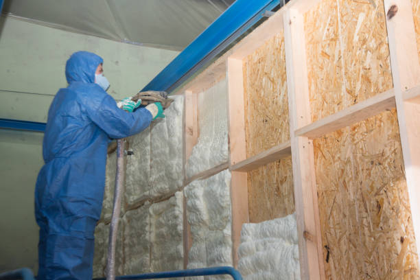 Best Insulation Removal  in Burns, OR